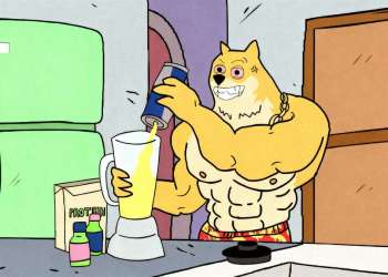 มีมหมา Doge เวอร์ชั่นใหม่