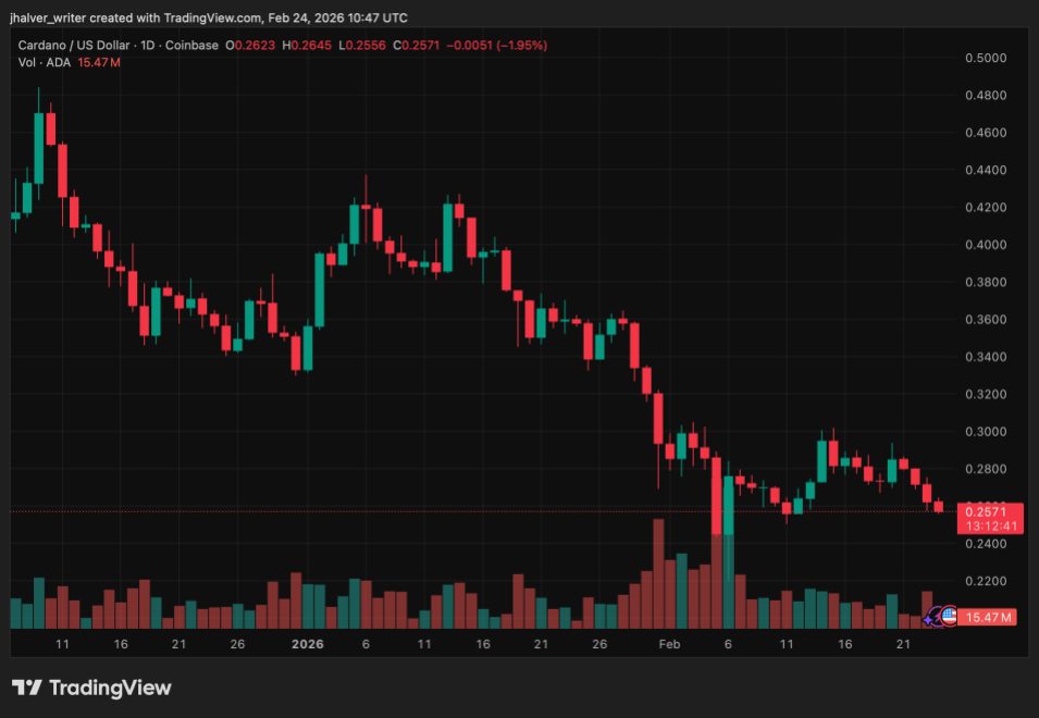 Cardano ADA ADAUSD ADA price ADAUSD_2026-02-24_11-47-19