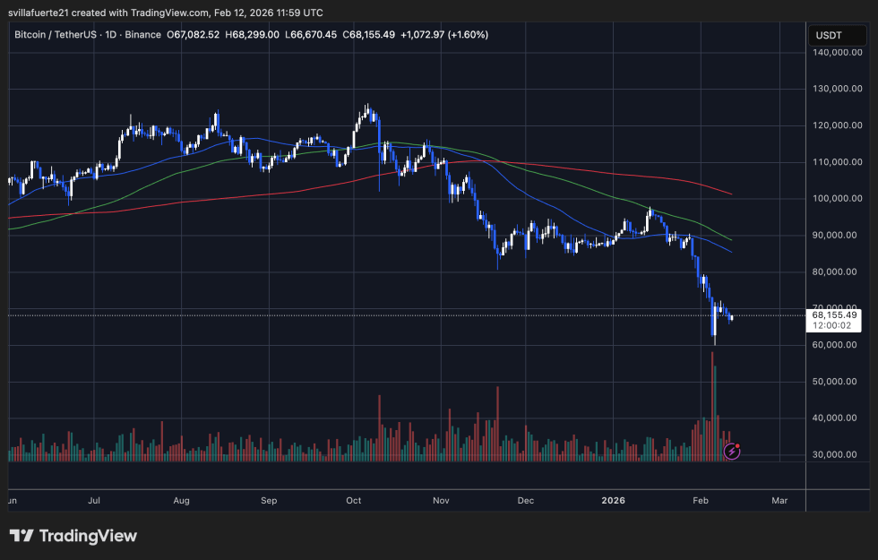 BTC testing critical liquidity | Source: BTCUSDT chart on TradingView