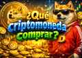 ¿Qué criptomoneda comprar? Por qué los inversores están cambiando Dogecoin por la preventa de Maxi Doge