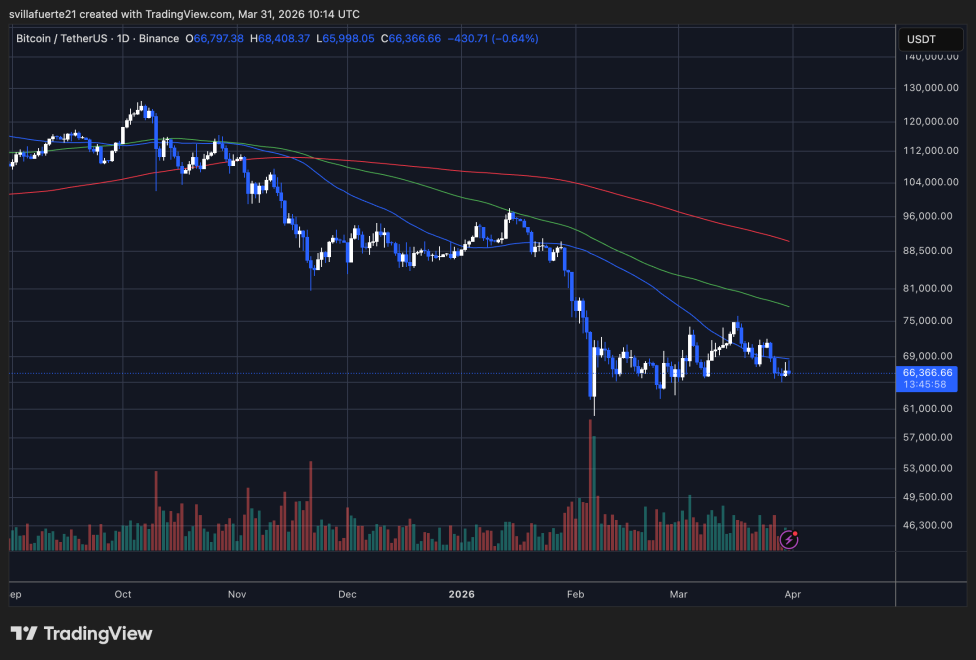 BTC testing critical demand level | Source: BTCUSDT chart on TradingView