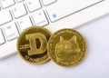 What Does The SpaceX IPO Have To Do With The Dogecoin Price?