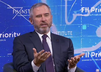 Garlinghouse Reveals Why Ripple Pivoted To Its Own Stablecoin
