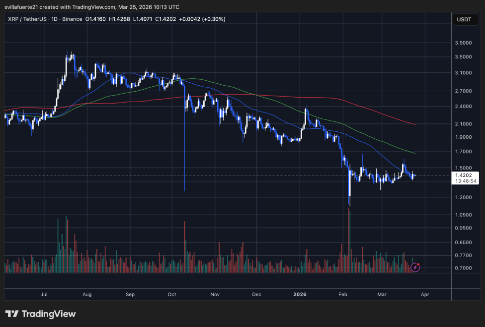 XRP consolidates around $1.4 level | Source: XRPUSDT chart on TradingView