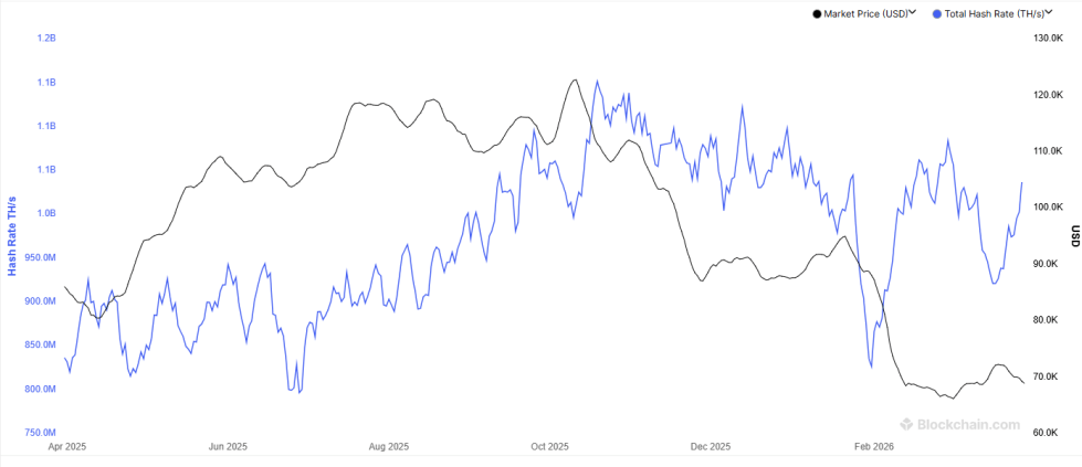 Bitcoin Hashrate