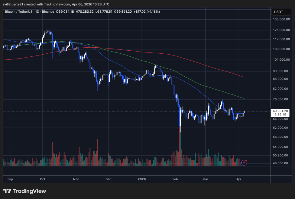 BTC consolidates around key level | Source: BTCUSDT chart on TradingView