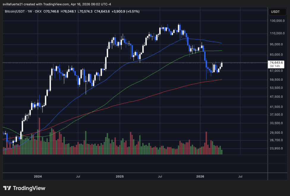 BTC testing critical price level | Source: BTCUSDT chart on TradingView
