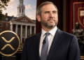 Ripple CEO Garlinghouse Named Harvard Business Leader Of The Year