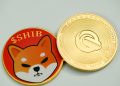 Shiba Inu Sees Major Developments As Its Price Continues To Struggle