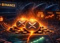 XRP Whales Stopped Sending Coins To Binance. Discover What They Are Waiting For