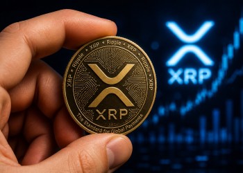XRP holders