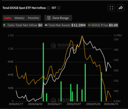 Dogecoin SpaceX IPO