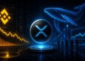 Binance XRP Reserves Hit Lowest Level Since February: What Are Holders Anticipating?